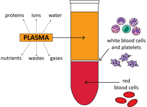 blood separation, blood separation techniques, blood plasma separation, separated blood