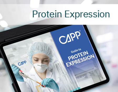 Protein expression